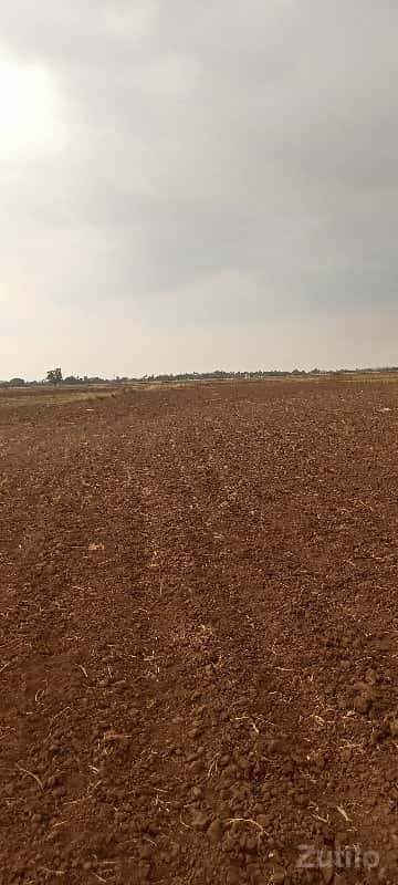 જમીન જમીન