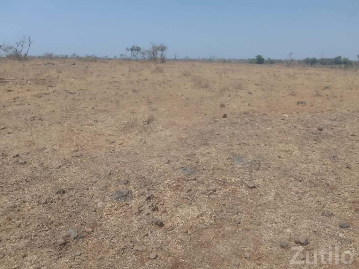 Open Agricultural Land Plot in Talala