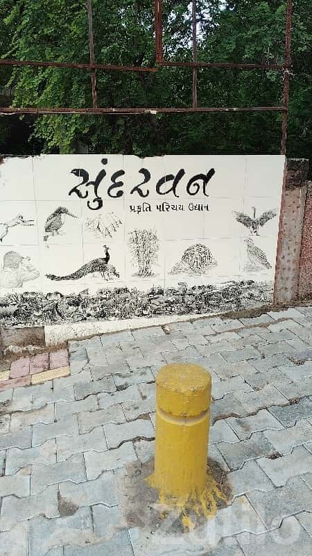 Green Nature-View Plot in Dhoraji