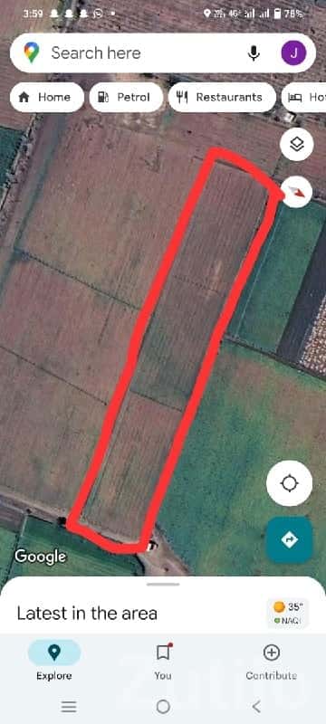 3 Vigha Agricultural Land in Talala