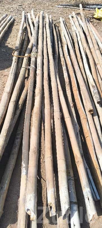 Used Bamboo Poles for Sale Used Bamboo Poles for Sale