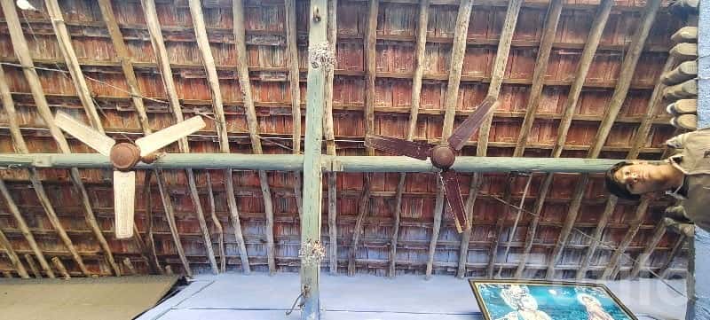 Old Ceiling Fans Set for Sale