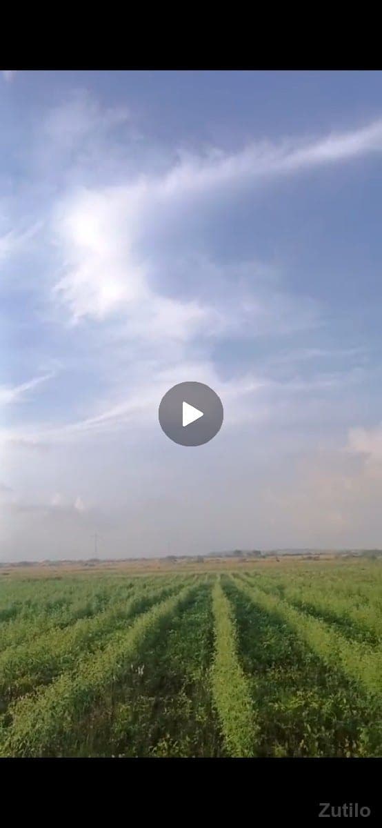 વેચાણ image 2