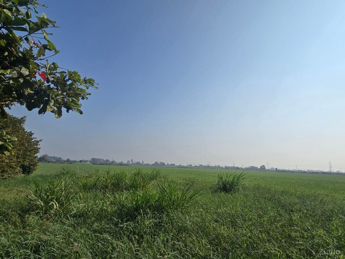 વેચવાનિ image 2