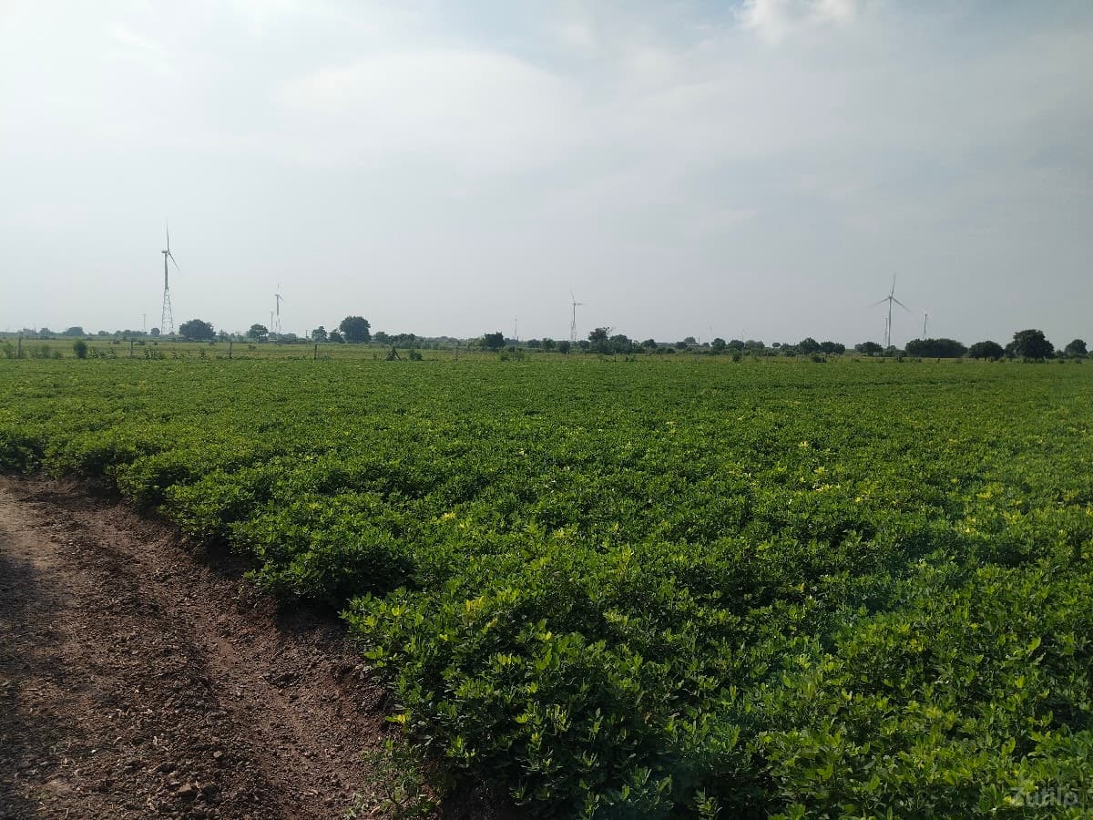 વેચવાની image 1