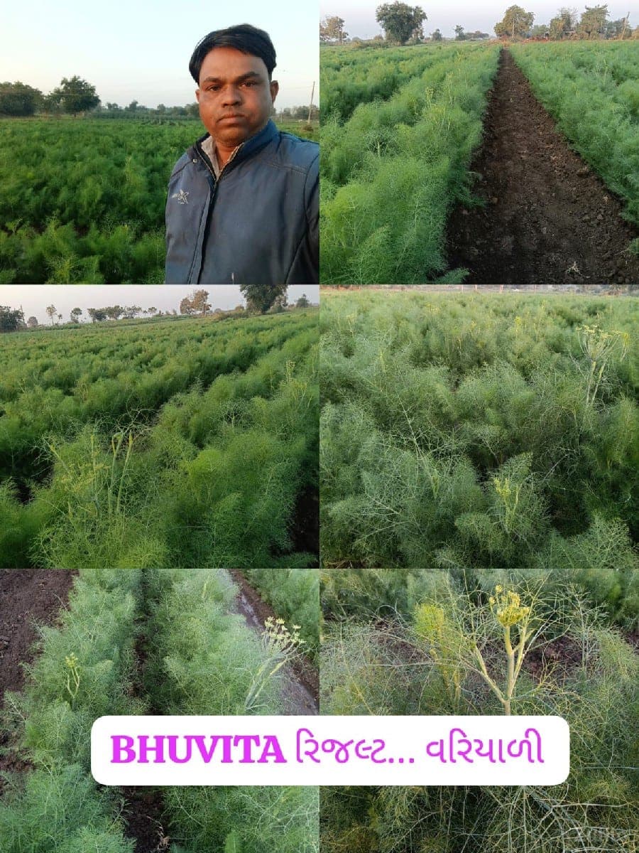 જમીન image 1