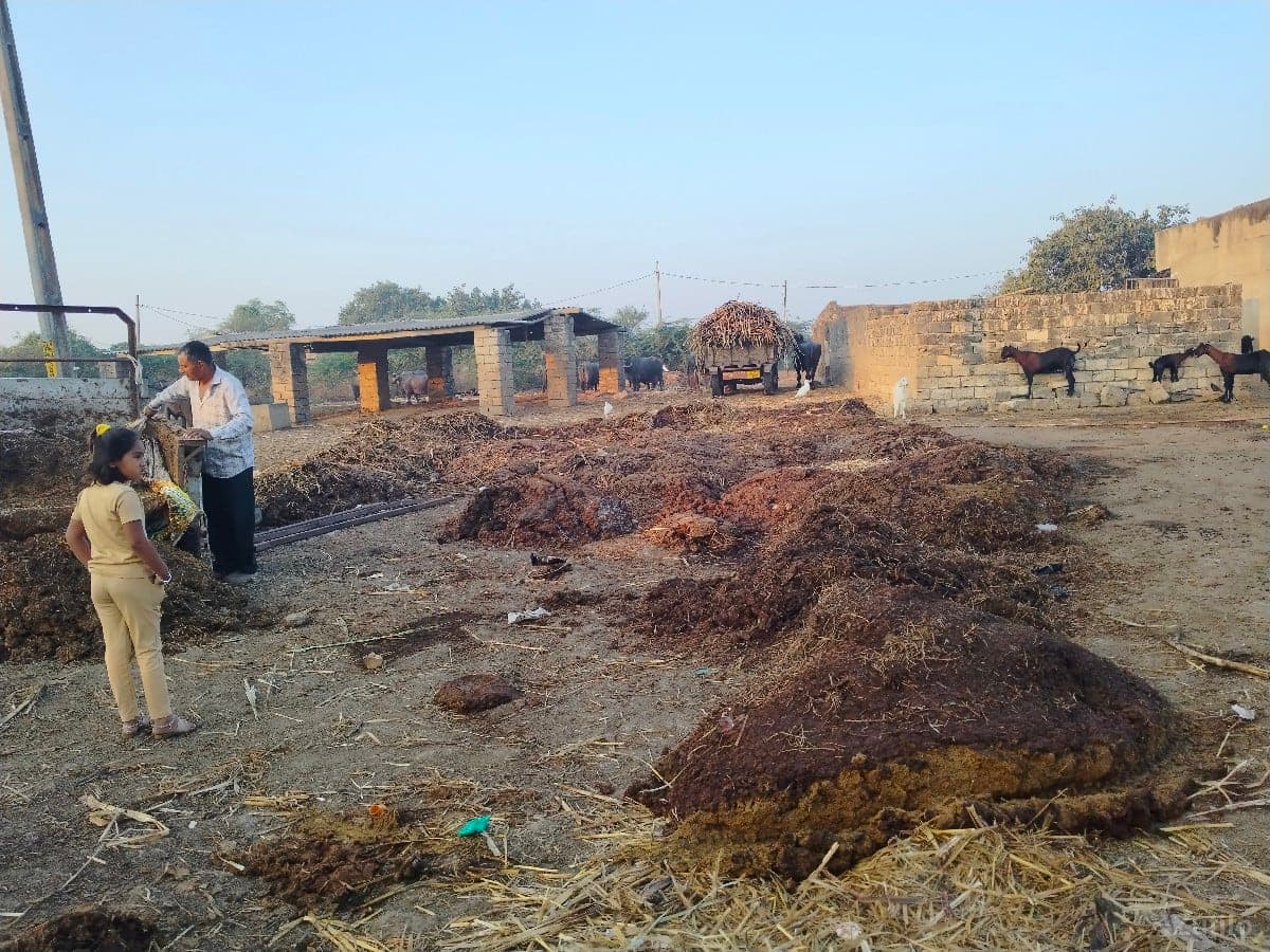 ખાતર image 1