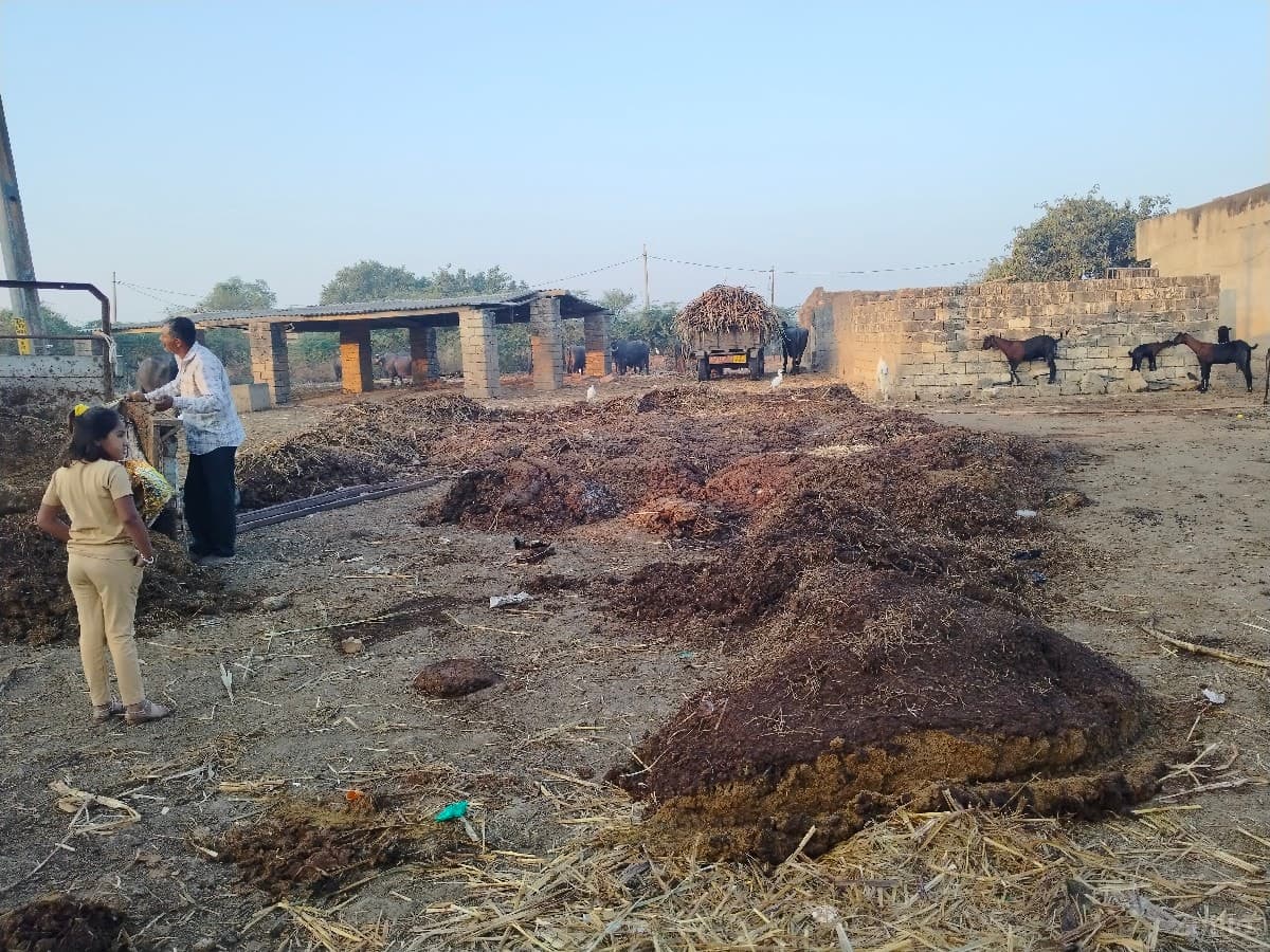 ખાતર image 3