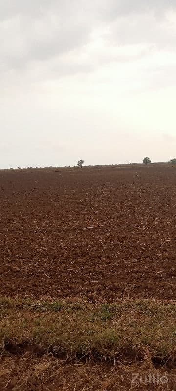 જમીન image 2