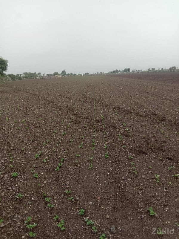 જમીન image 1