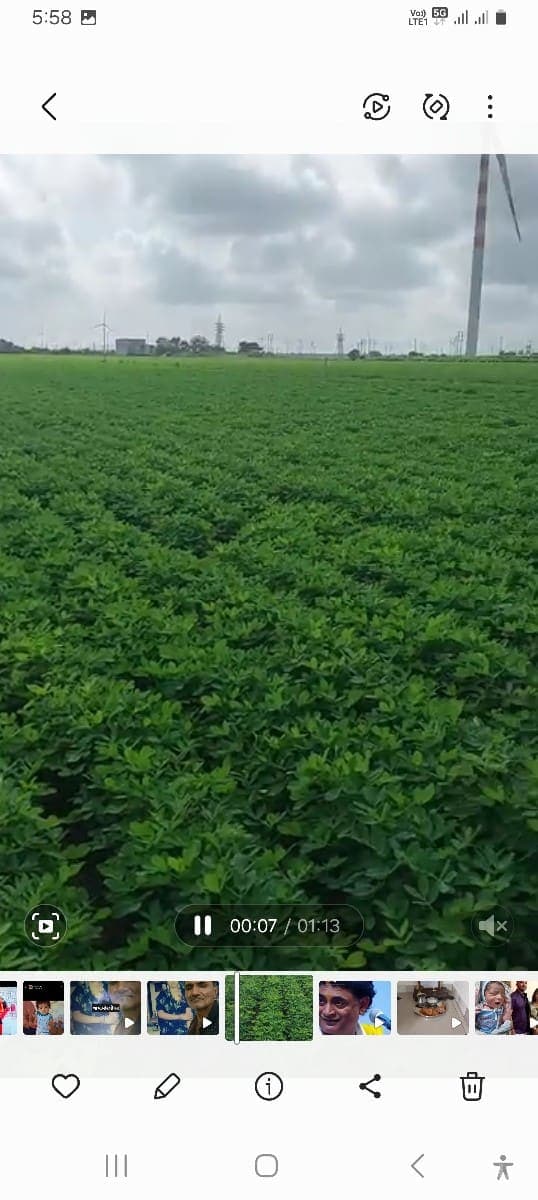 જમીન image 2