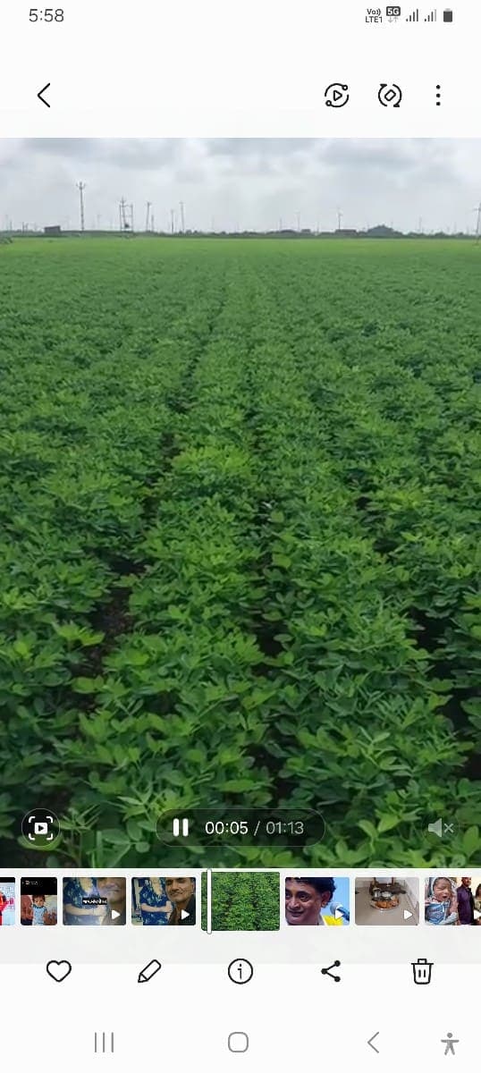 જમીન image 3