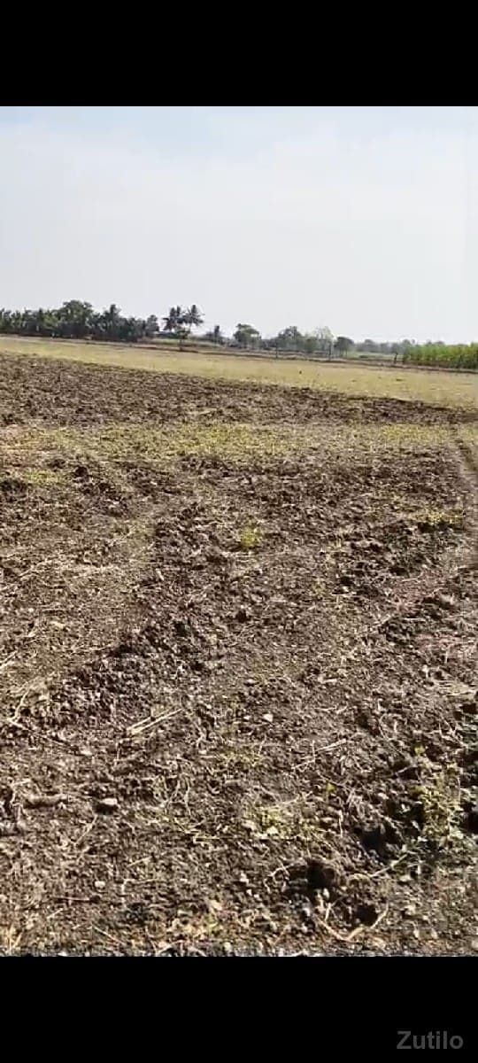 જમીન image 3