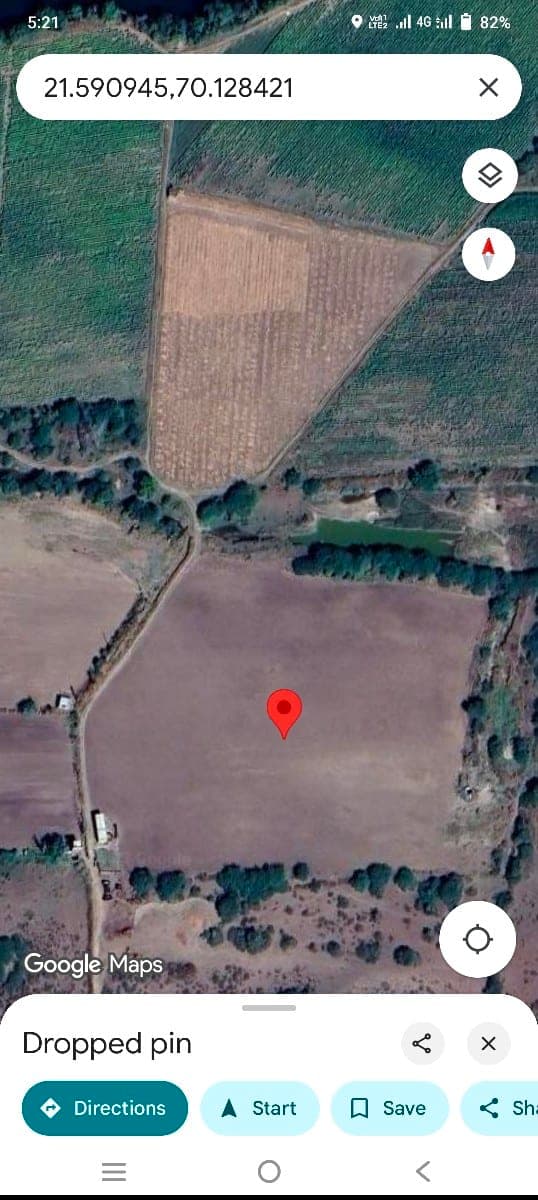 13,વીઘા image 1