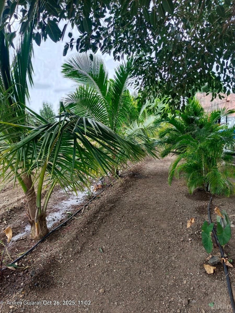 વેચવા image 3