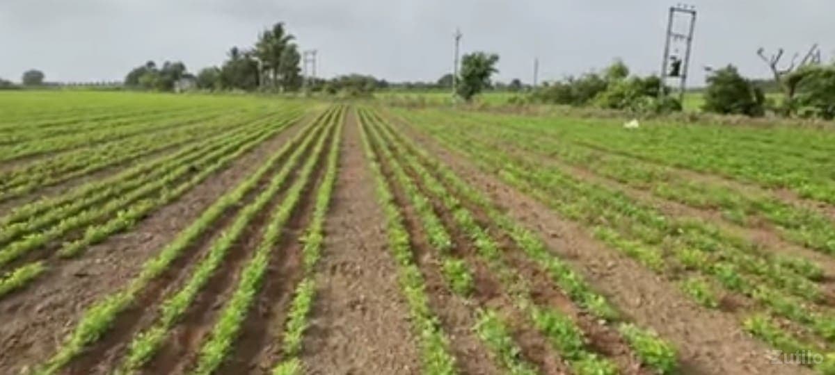 કેશોદ image 1