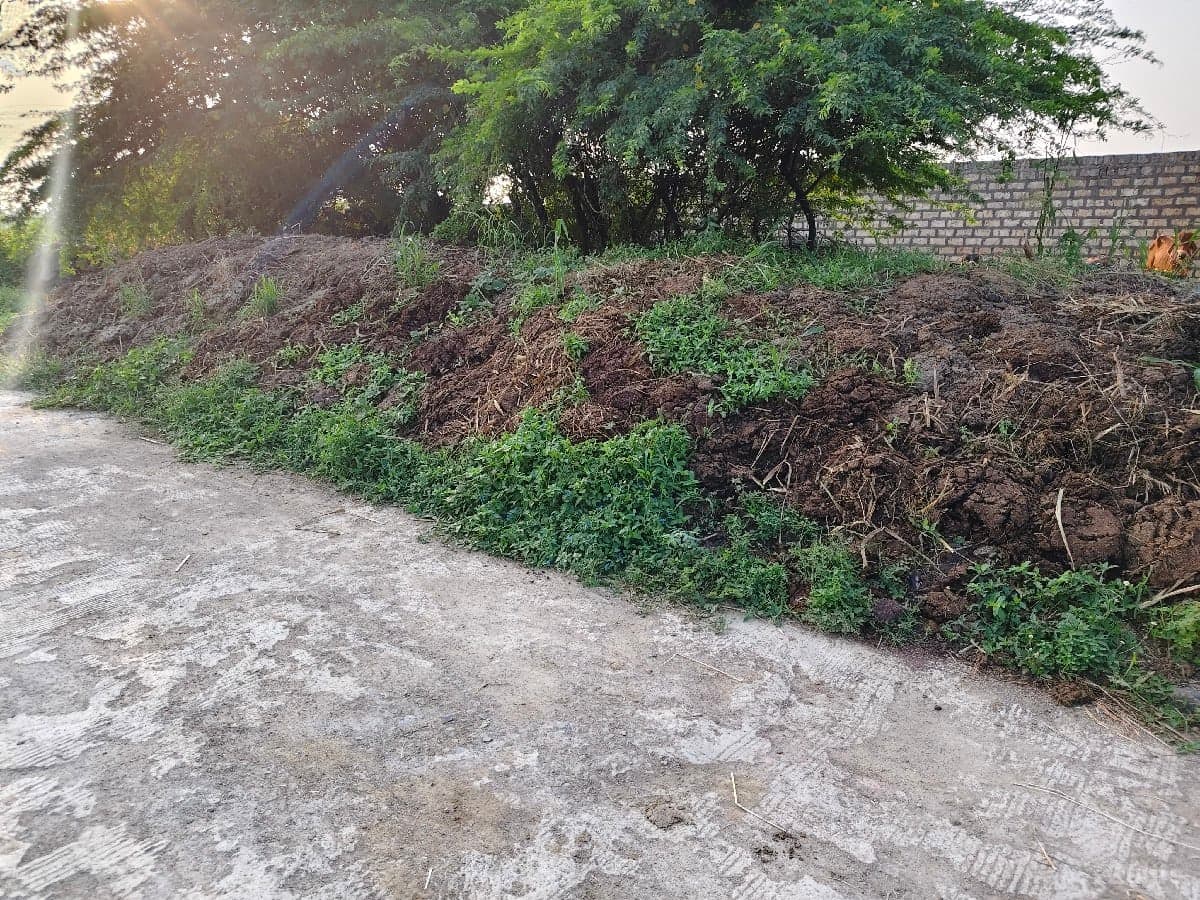 ખાતર image 2