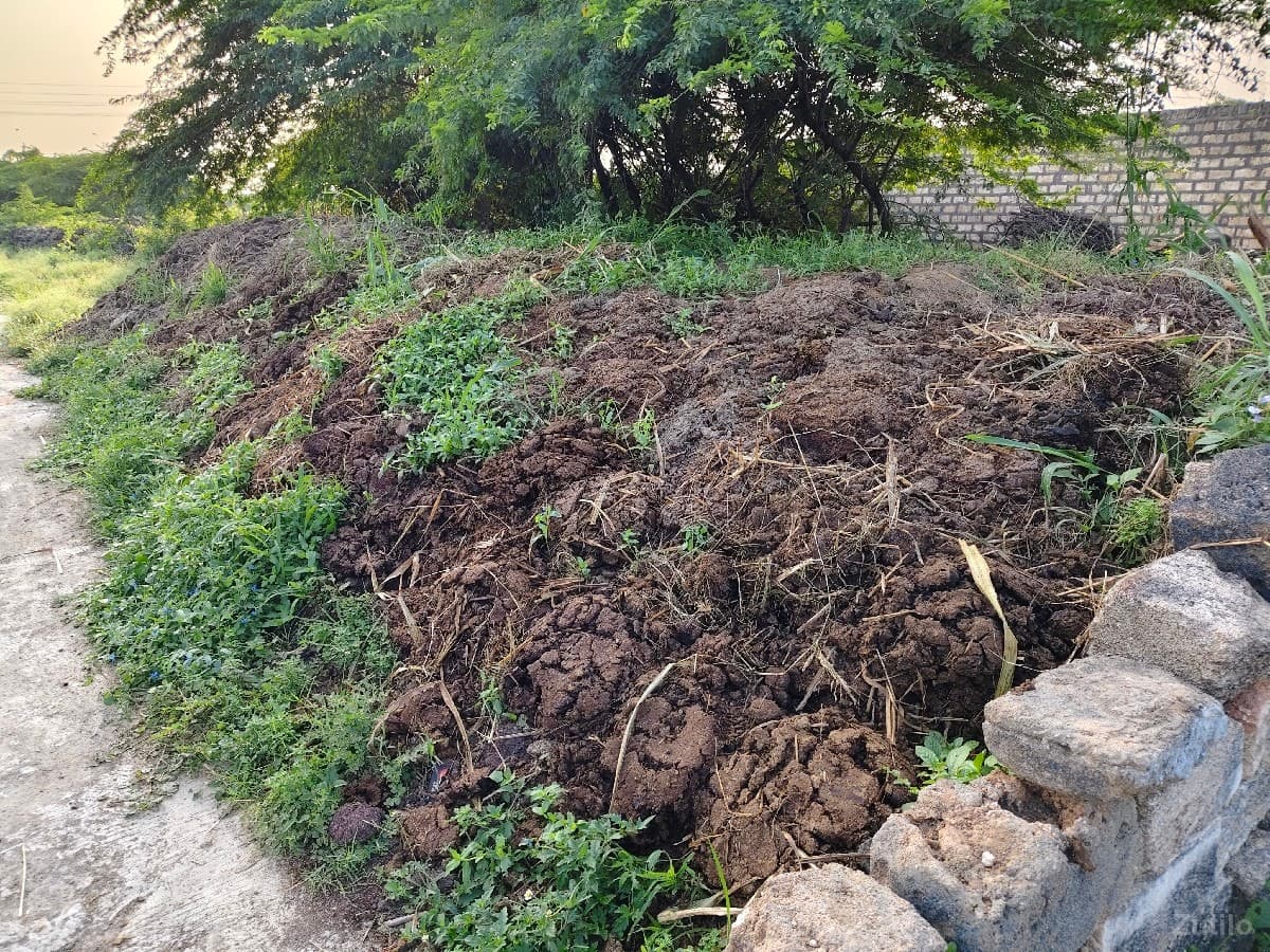 ખાતર image 3