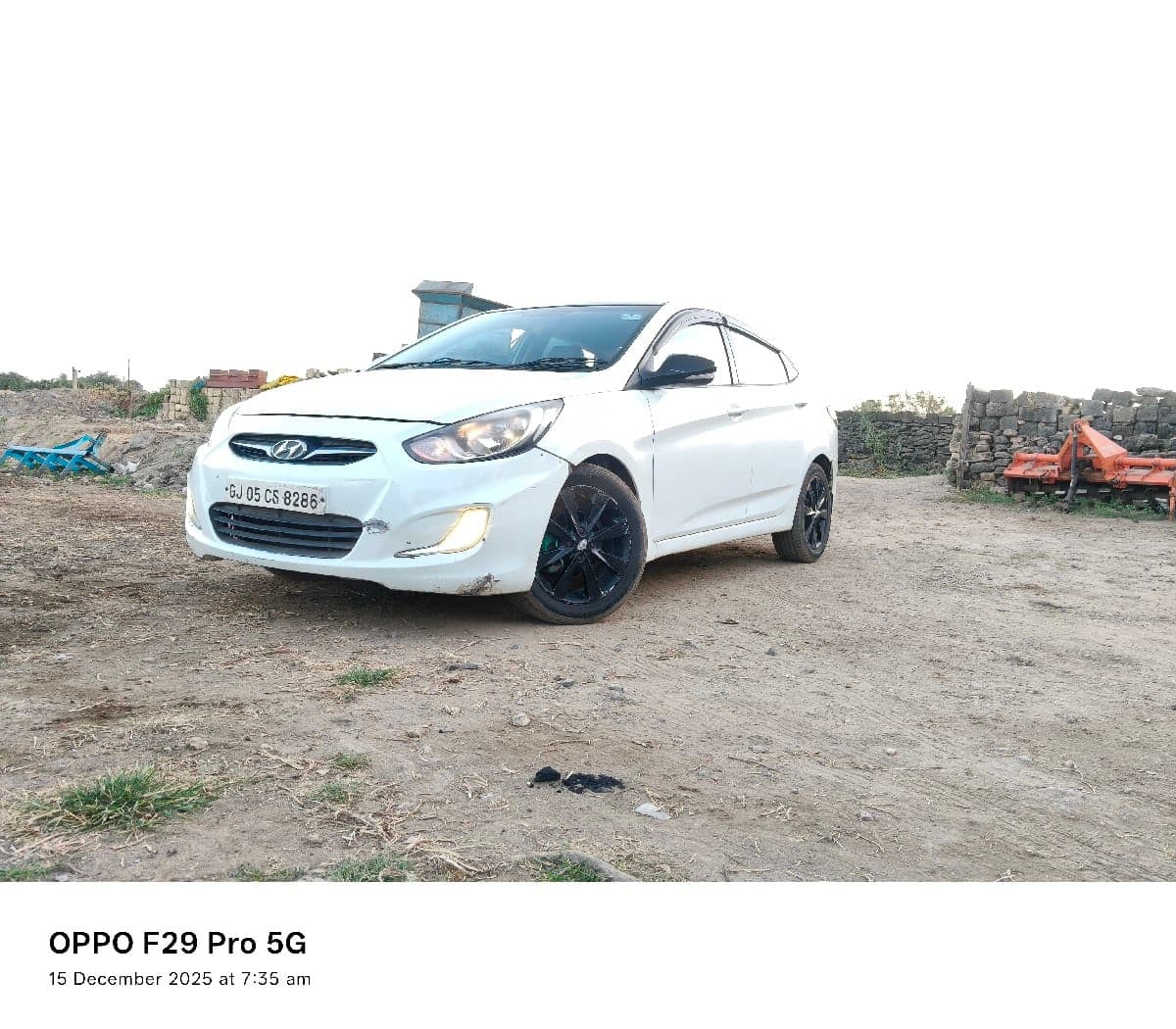 verna image 2