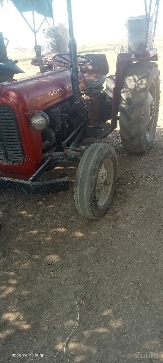 મેસી image 2