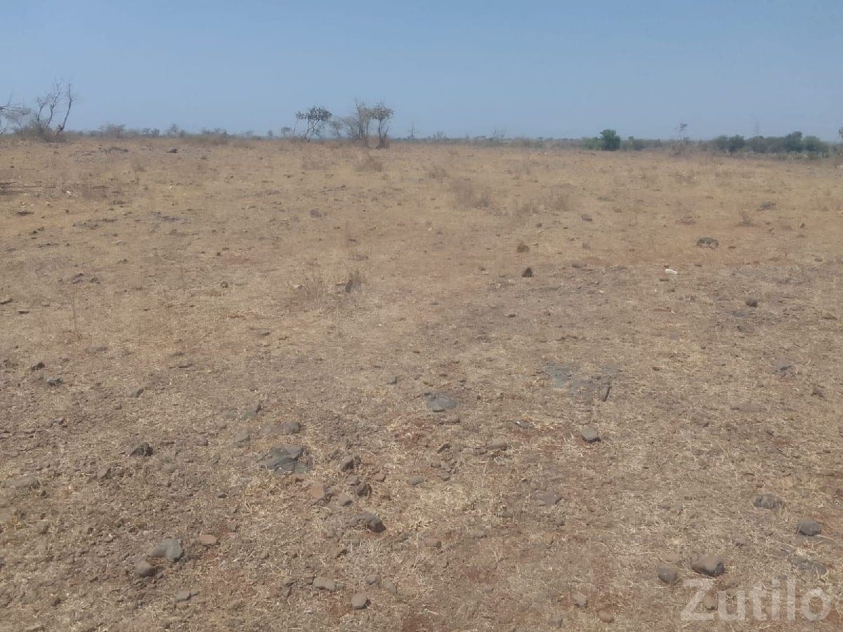 Open Agricultural Land Plot in Talala