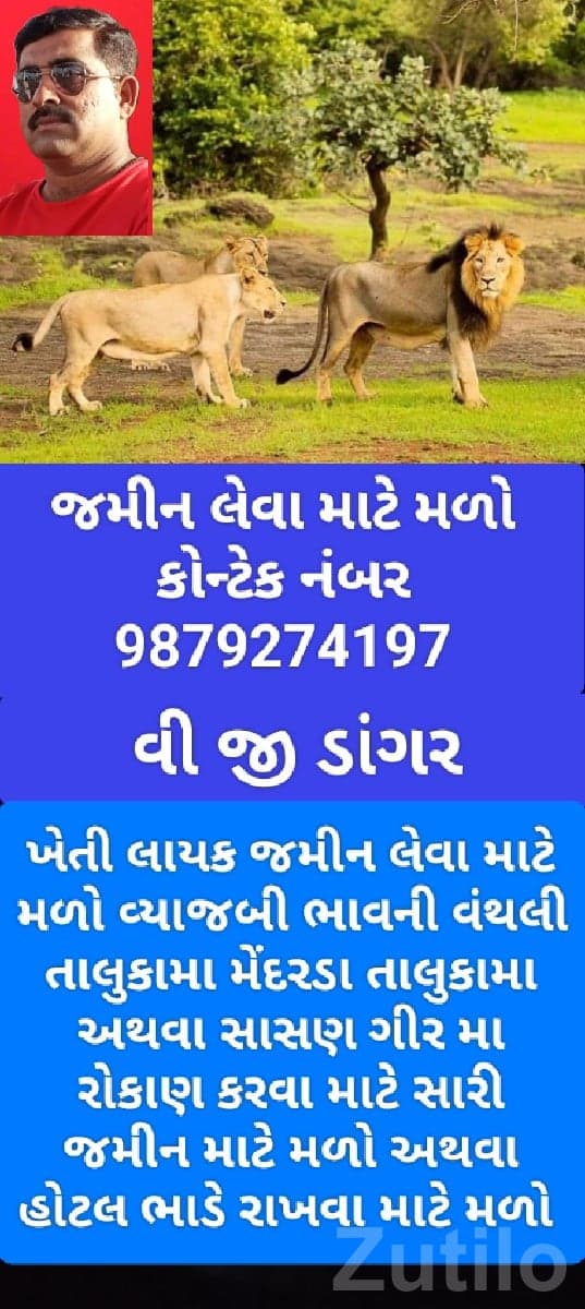 Talala Agricultural Garden Plot for Sale