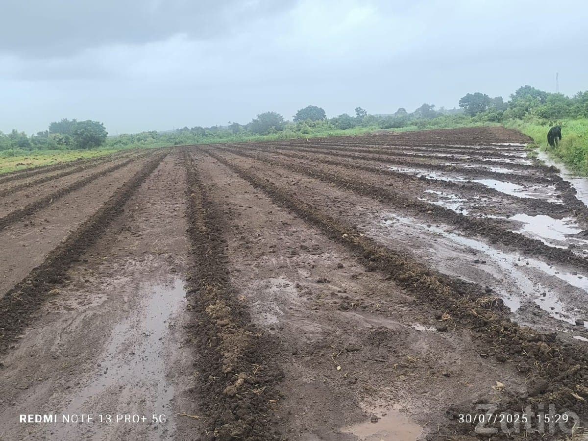 Fertile Green Farmland Plot in Talala image 2