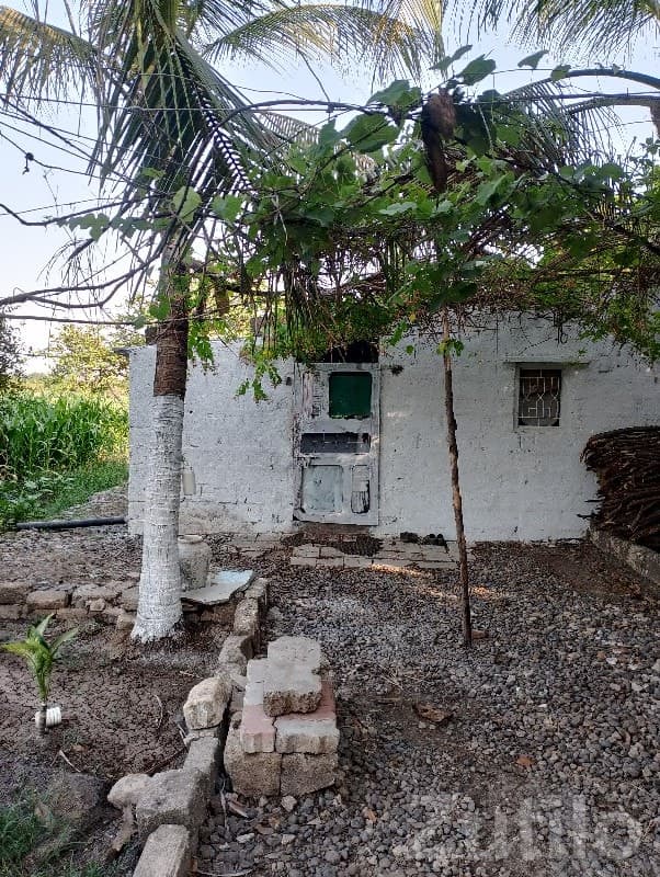 Fertile Green Agricultural Land Vanthali image 2