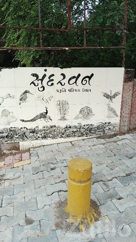 Green Nature-View Plot in Dhoraji