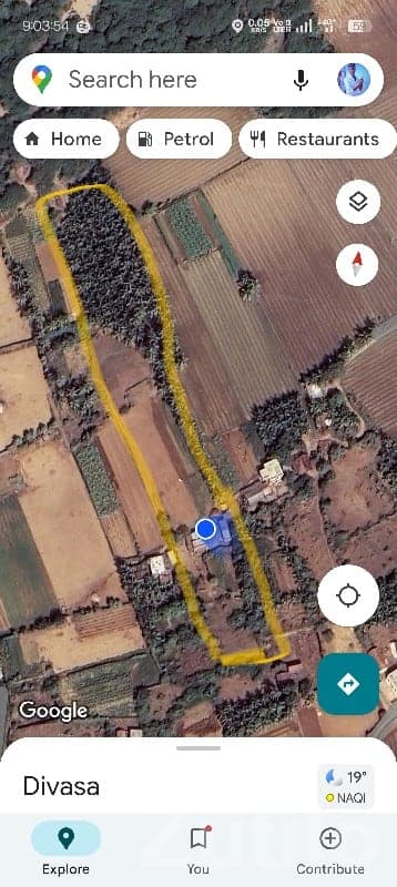 Mangrol Fertile Agriculture Land Plot image 1