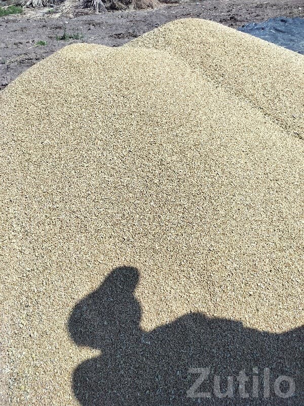 Fertile Agricultural Land for Sale