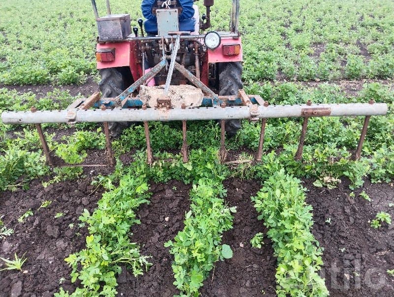 10 Vigha Fertile Agriculture Land