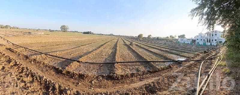 Farmhouse Plot with Cultivated Land image 3