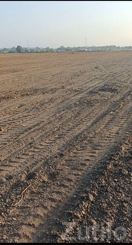 Level Open Land Plot in Upleta image 1