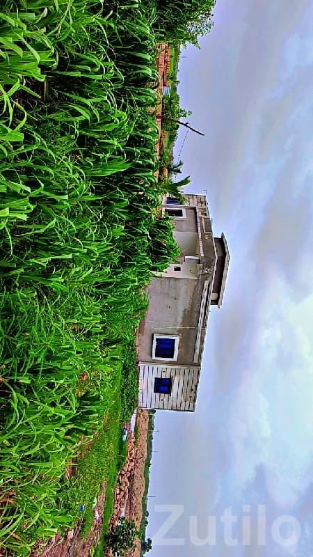 Fertile Agriculture Land in Bhanvad image 2