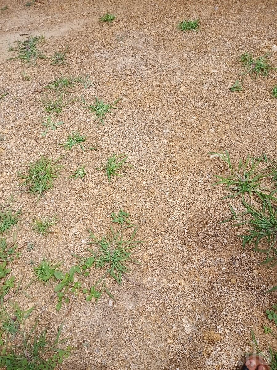 Residential Plot for Sale in Porbandar