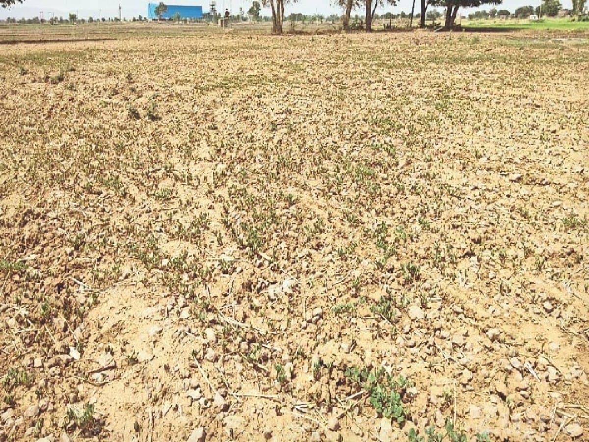 Residential/Farm Plot for Sale Kangshiyali image 3