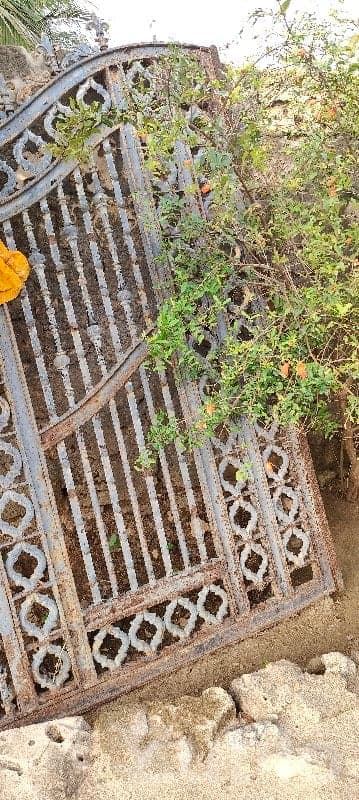 Old Iron Gate for Sale image 2