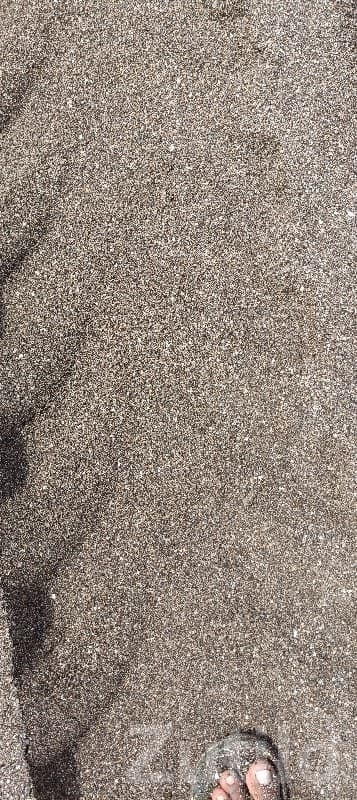 Used Truck for Sand Transport image 3