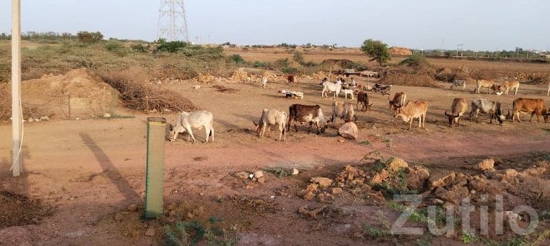 Road Touch Plot for Sale Bhatia Bypass