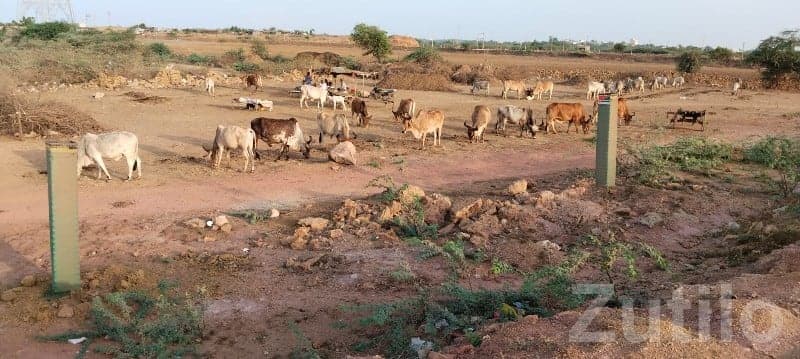 Road Touch Plot for Sale Bhatia Bypass image 2