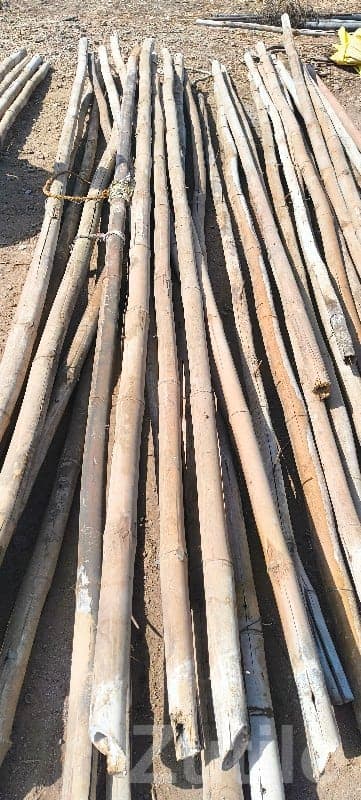 Used Bamboo Poles for Sale