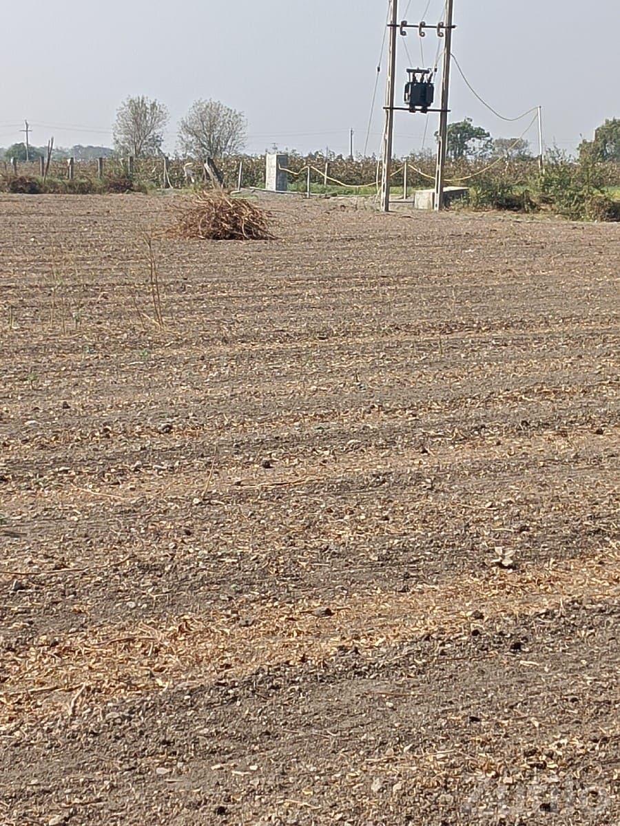 Agricultural Land for Sale in Khadiya - જમીન અને પ્લોટ - માણાવદર - Image 3