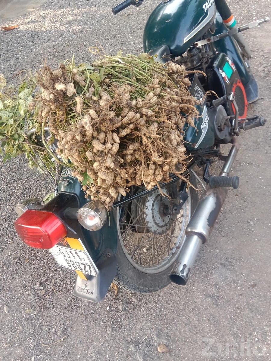 1998 Lurus Vintage Motorcycle Green - Bikes - Chhaya - Image 2