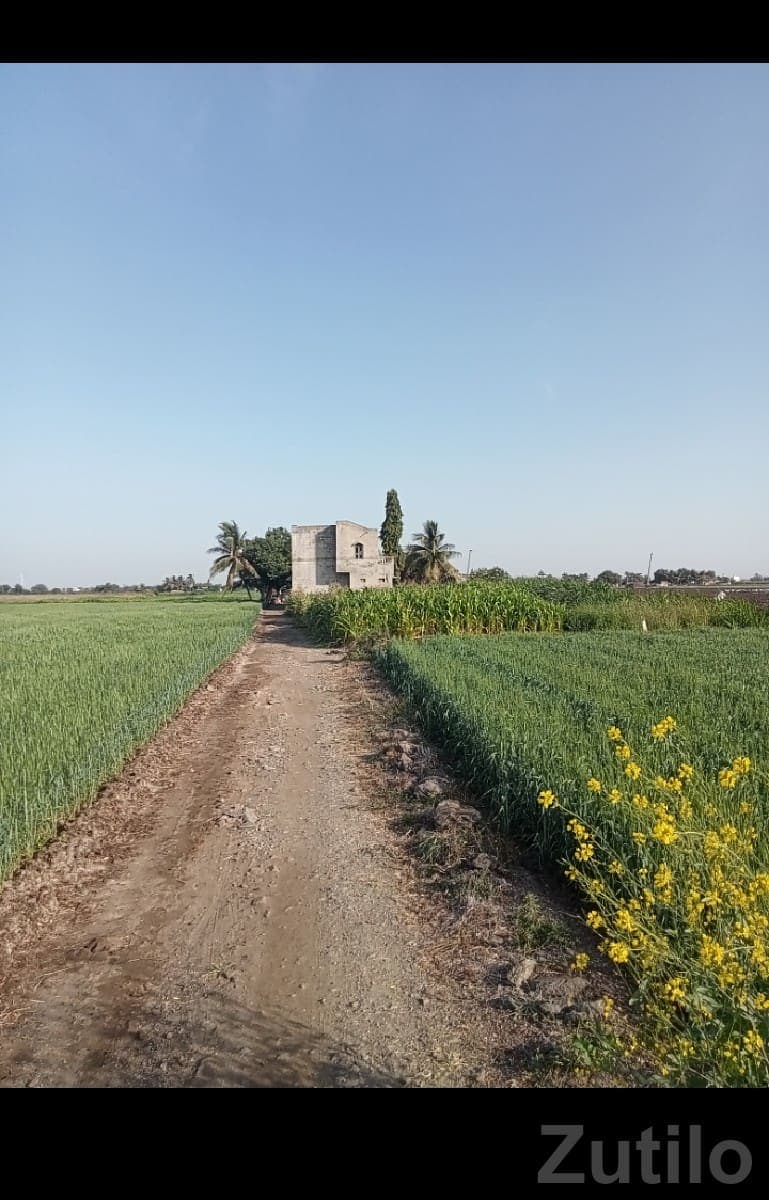 Agricultural Land Plot for Sale