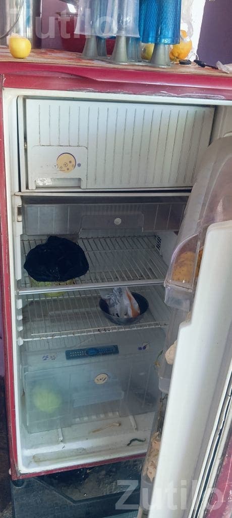 Single Door Refrigerator - Refrigerators - Kotda Sangani - Image 2