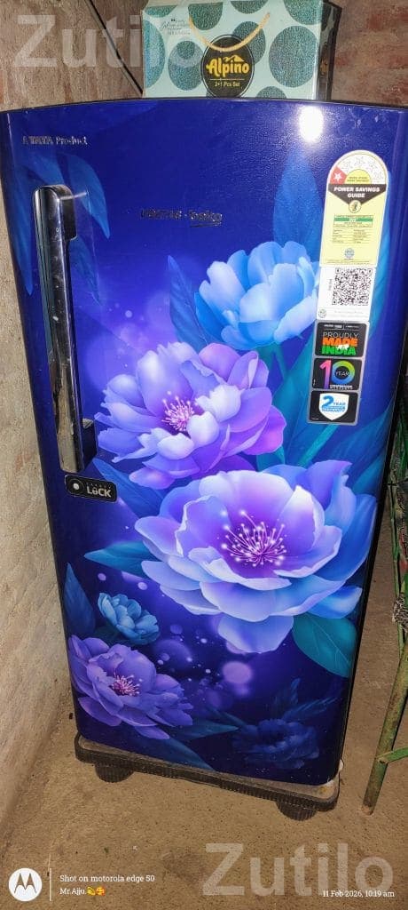 Single Door Refrigerator with Floral Design