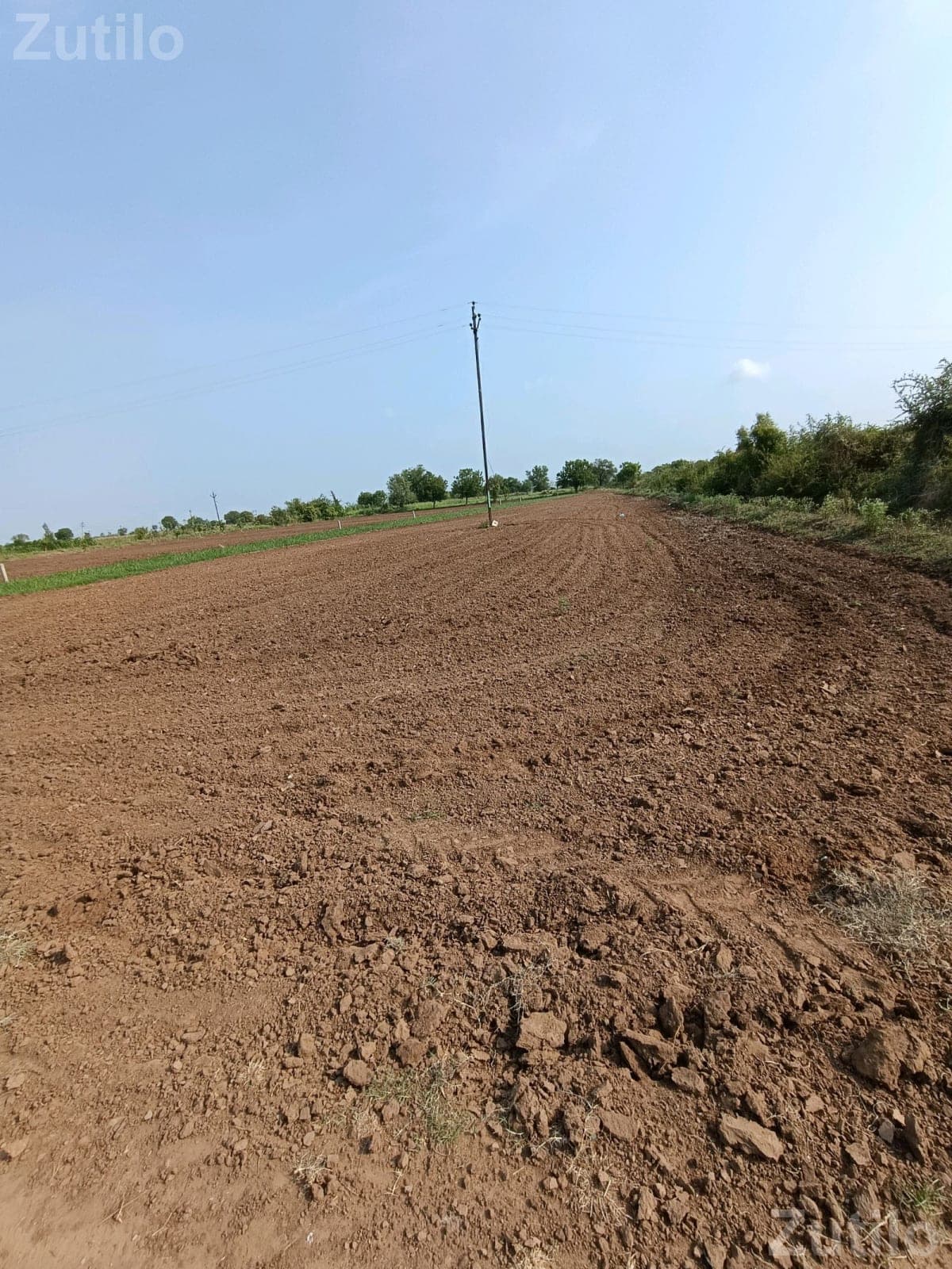 ૩૧ ગુનથા - Land & Plots - Vadodara City - Image 1