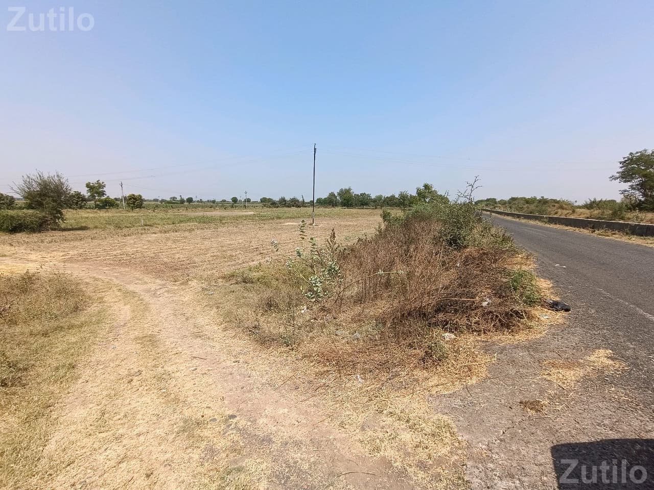 ૩૧ ગુનથા - Land & Plots - Vadodara City - Image 3