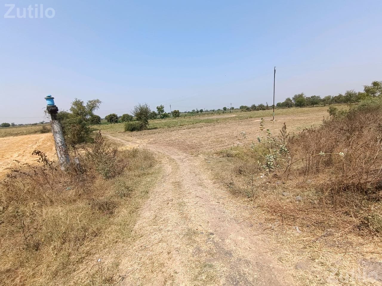 ૩૧ ગુનથા - Land & Plots - Vadodara City - Image 4